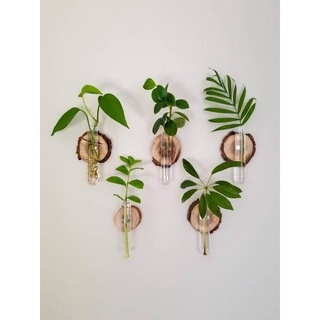 🪵Lát Gỗ 3cm~ 5cm Chụp Hình, Trang Trí🍂🍁