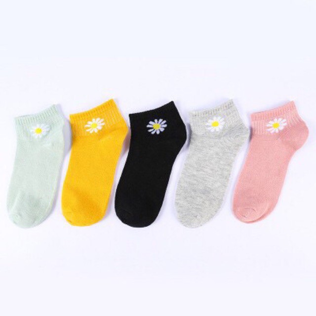 Set tất nữ 10 đôi cúc họa mi hot trend (Vớ hoa cúc)