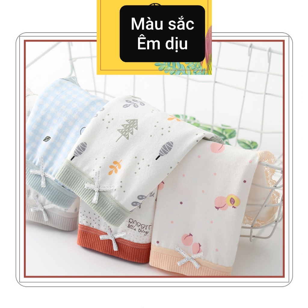 Chip nữ hoạ tiết cây thông xinh xắn sét 5 chiếc quần lót cotton nữ sinh từ 30-50kg