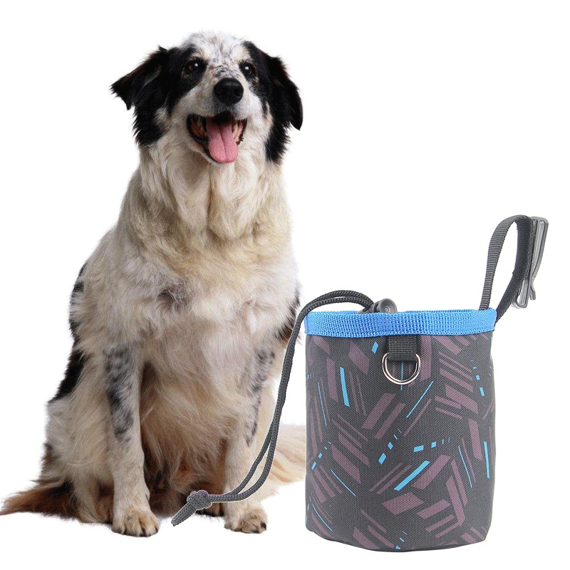 Túi Đeo Hông Huấn Luyện Chó Tiện Lợi
