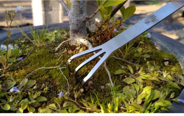 Cào đất inox bonsai chất liệu inox