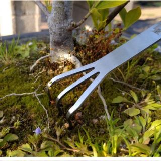 Cào đất inox bonsai chất liệu inox