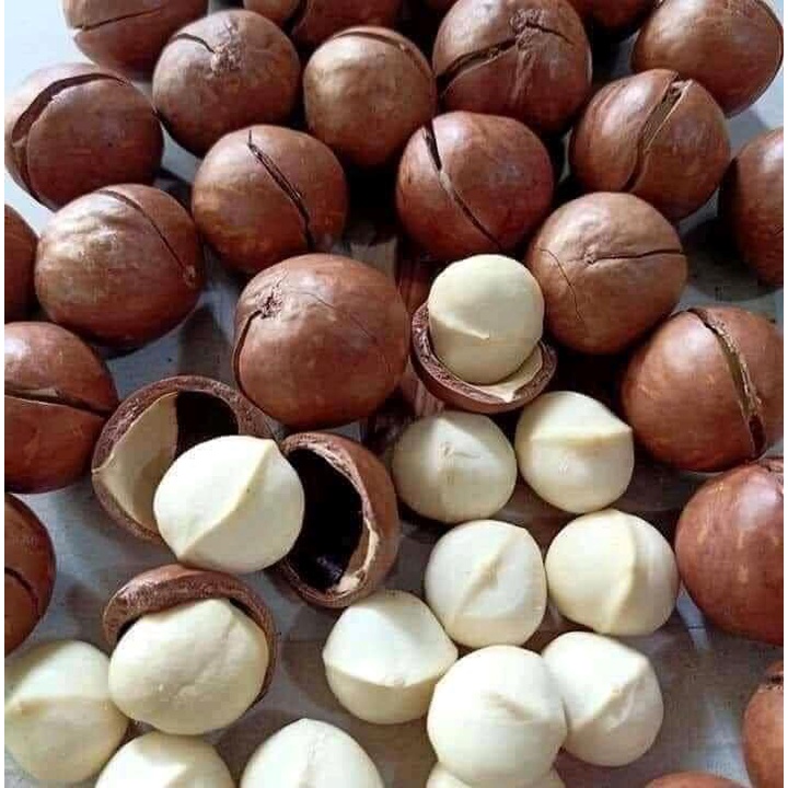 Mắc ca sấy Điện Biên hàng Loại 1 1kg