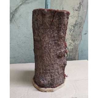 Khúc gỗ cắm hoa