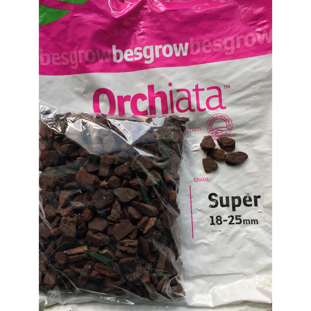 Vỏ Thông Orchiata nhập khẩu 1 kg