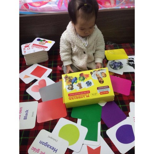 Bộ Thẻ Học Thông Minh 19 Chủ Đề Loại To Song ngữ tiếng Anh loại chuẩn Glenn Doman Flashcard cho bé từ 0-6 tuổi