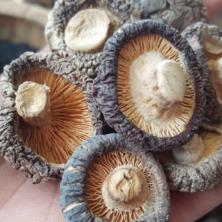 Nấm hương 1kg