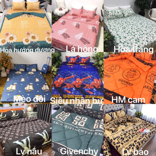 Bộ 1 Ga chun và 2 vỏ gối Cotton poly, chat chọn mẫu.