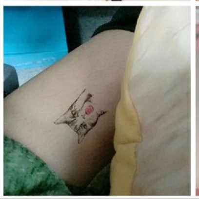 Hình xăm tatoo mèo munchkin sorry - mèo lêu lêu - sorry h19