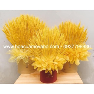 Bó 100 bông lúa mạch giả merber - cành lúa mạch khô decor trang trí nhà, phòng khách dịp lễ, tết