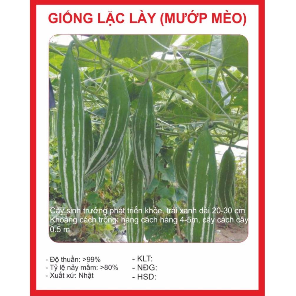 Hạt Giống Lặc Lày (Mướp Nhật) 5g