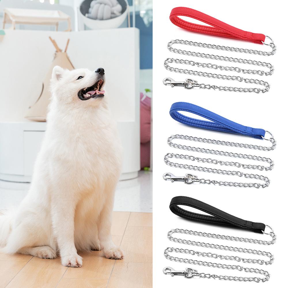 Dây Dắt Thú Cưng Đi Dạo Thời Trang