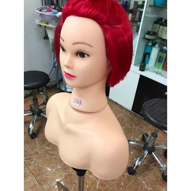 Vai manocanh