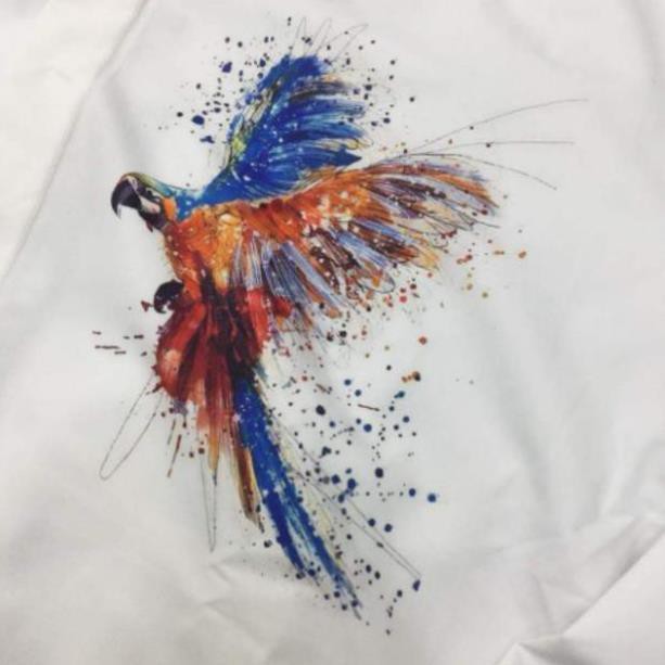 Áo sơ mi kate lụa Hot rần rần làm khuynh đảo giới trẻ siêu sang việt