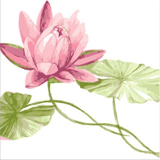 Decal Dán Kính Cao Cấp - Hoa Sen Lớn ( 60x58cm )-DK7179
