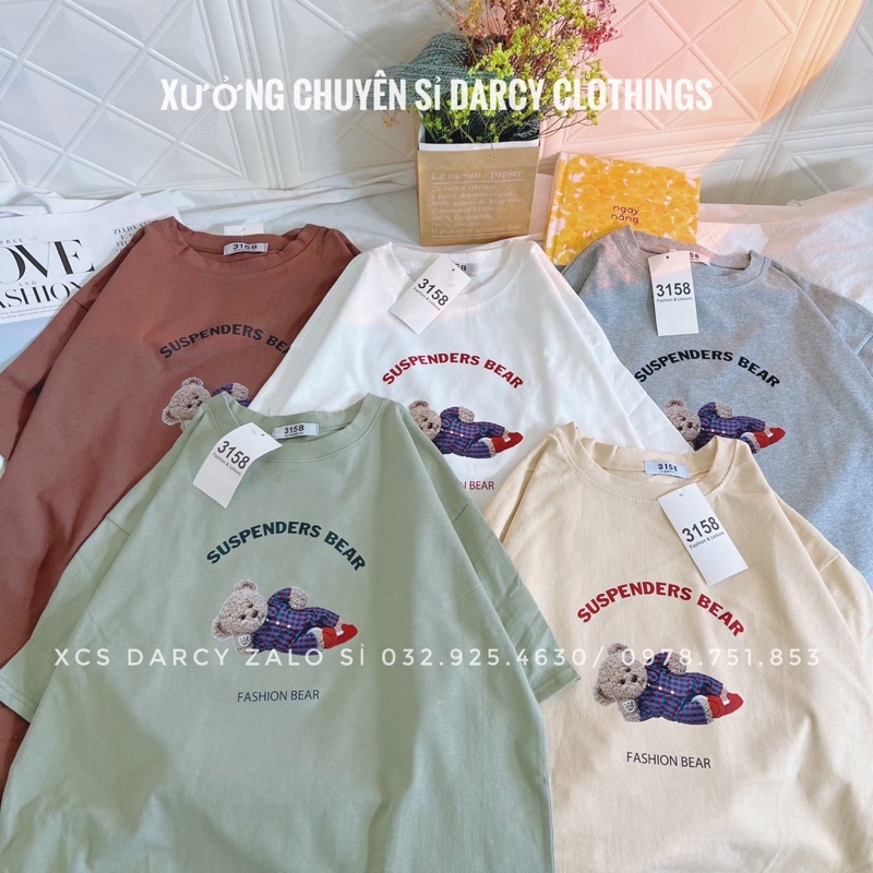 áo thun 3158 ✨ FREESHIP ✨ áo thun Gấu Pizama cotton khô nam nữ