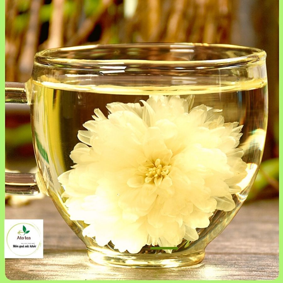 Trà hoa thiên nhiên- KHÔNG CHẤT BẢO QUẢN - Trà hoa cúc trắng, bạch cúc