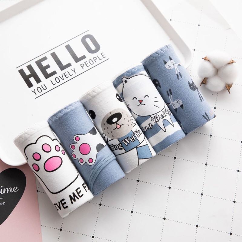 Combo Quần Lót Nữ Cotton Chất Liệu Bông Tự Nhiên 100% Set 5 Quần Chip Nữ Dễ Thương HynL H306 | BigBuy360 - bigbuy360.vn