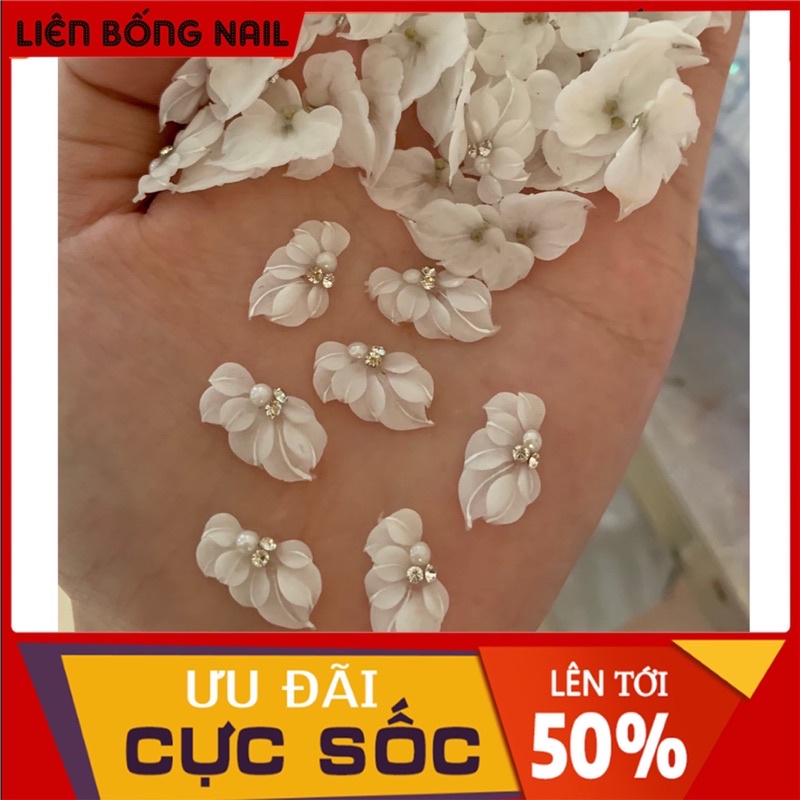 Hoa bột nail mã 003