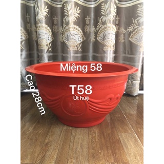 (3 Cái) Chậu Nhựa Trồng Cây T58 Màu Đỏ Gạch 56x28