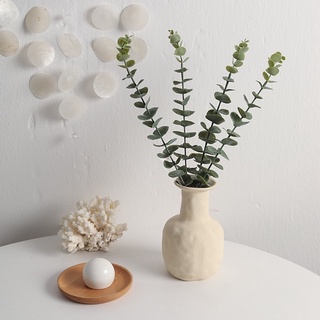 Lá cây bạch đàn decor trang trí.