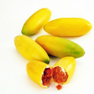 Hạt giống chanh dây chuối nam mỹ