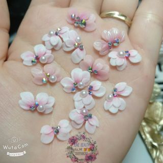 Combo 50b hoa bột nail