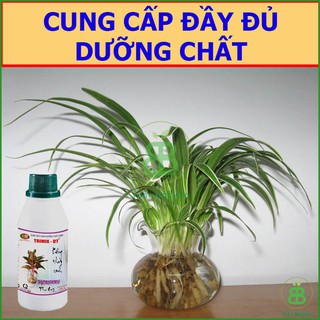 Dung Dịch Thủy Canh Kiểng , Tăng Cường Dinh Dưỡng Cho Cây - Chai 100ML