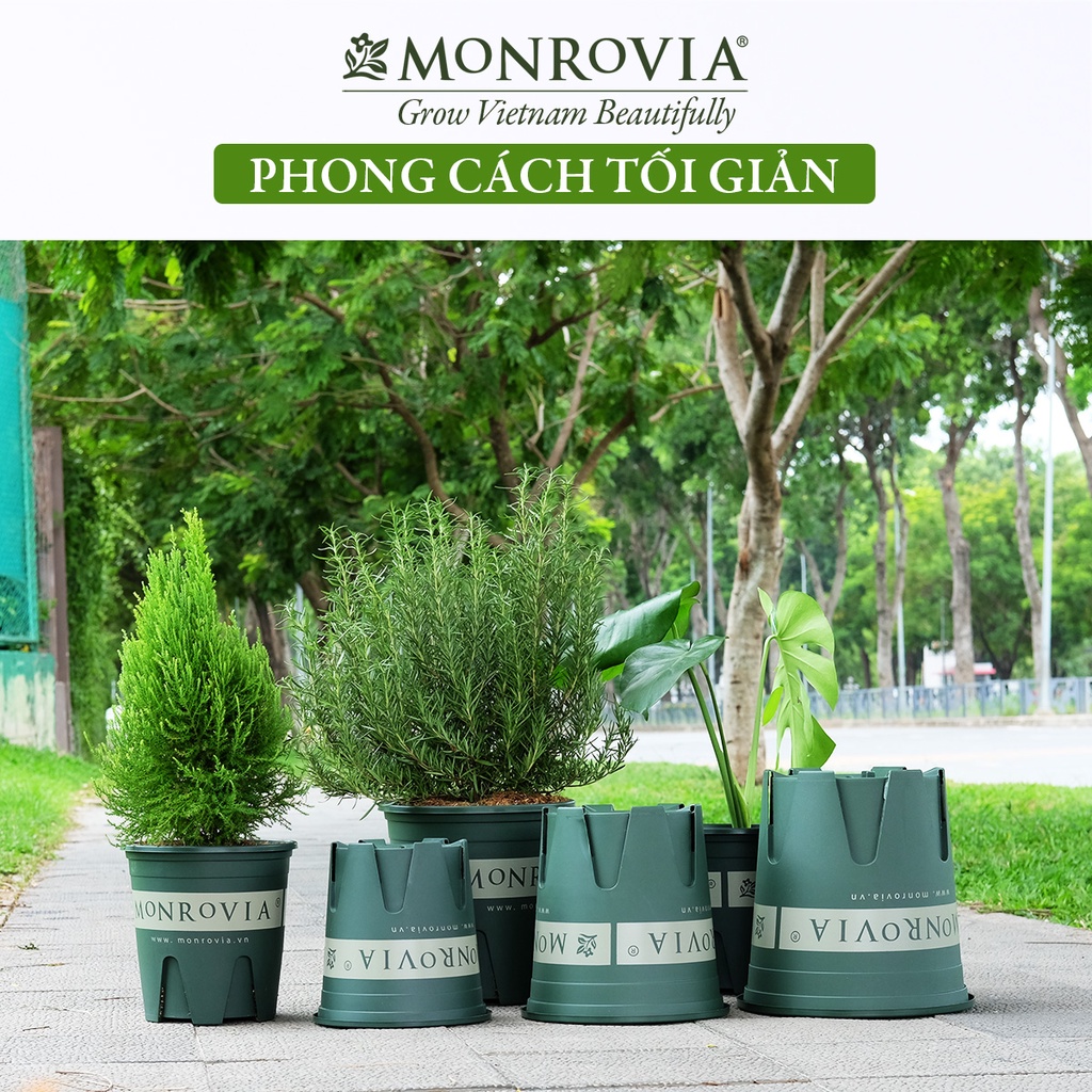 Combo 3 chậu trồng cây MONROVIA 2 Gallon cho cây cảnh, hoa để bàn, ban công, sân vườn, thiết kế tinh tế, dòng M-series