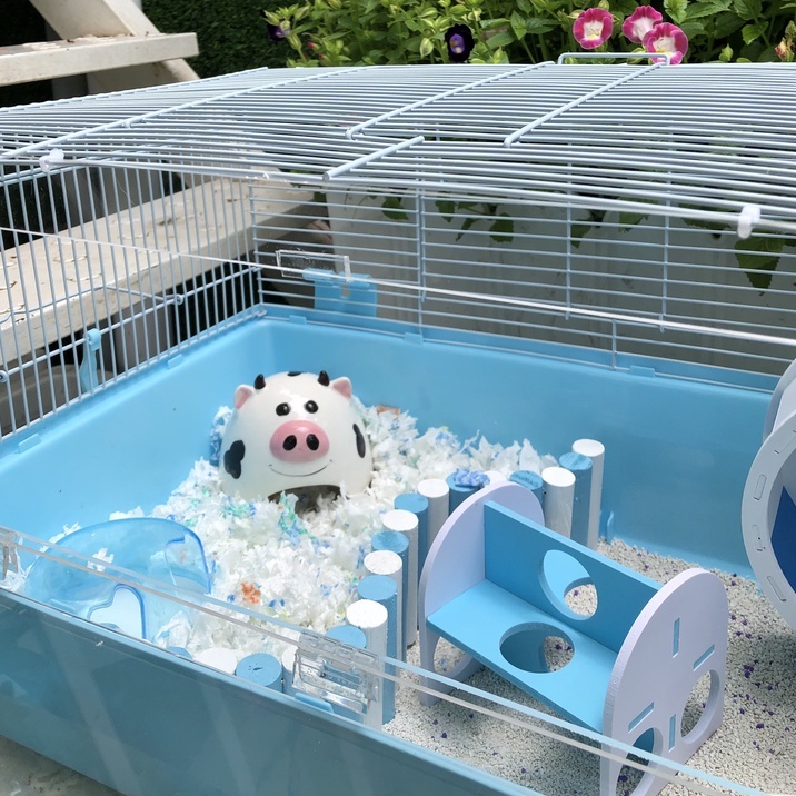 Đồ chơi hamster, hang gỗ màu cho hamster, sóc, bọ, nhím, thú nhỏ