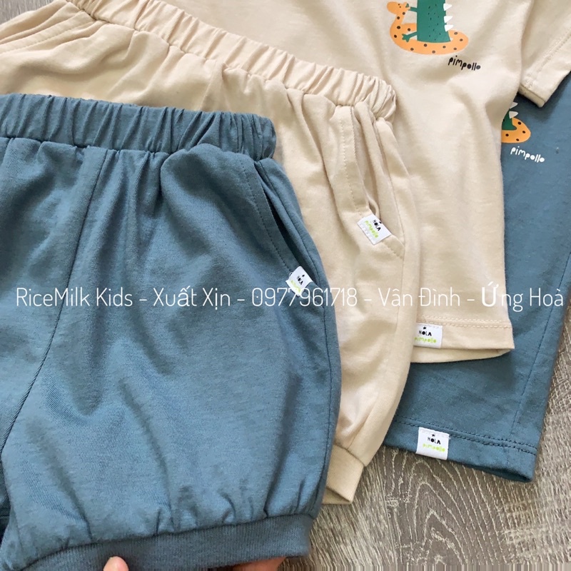 Bộ cotton hè bé trai bé gái hoạ tiết cá sấu xuất Hàn
