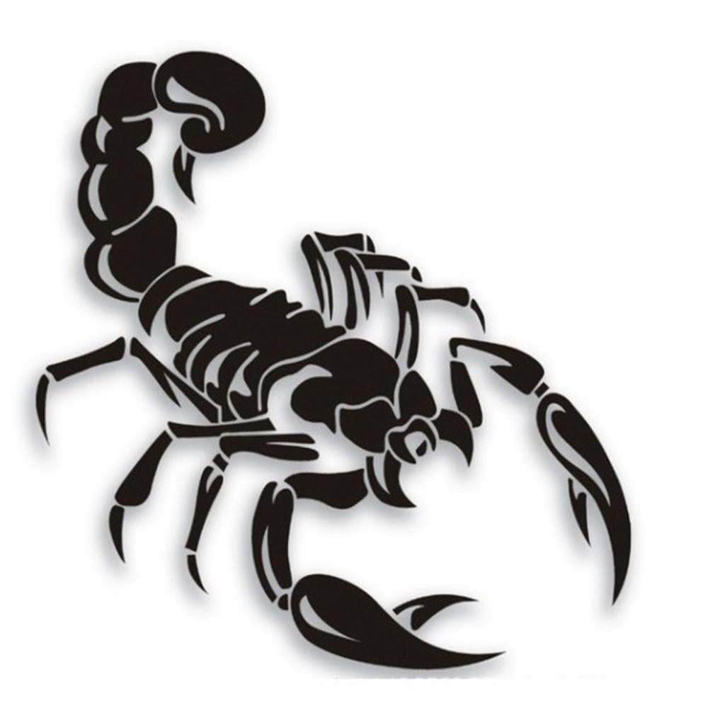 Sticker Dán Trang Trí Xe Hơi / Laptop / Điện Thoại / Ván Trượt