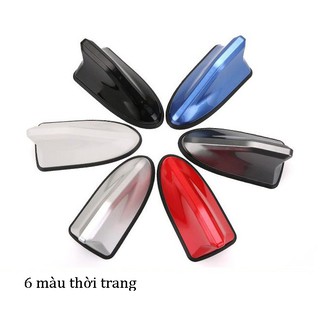 (Vây cá màu ghi xám ) VÂY CÁ MẬP CÓ ĐẾ GIOĂNG CAOSU CHỐNG VÀO NƯỚC