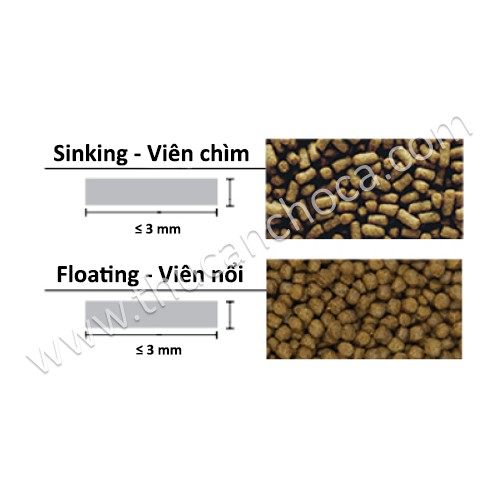 Thức ăn cao cấp cho cá vàng, ranchu, oranda, Ryukin, goldfish, cá 3 đuôi GF-G1