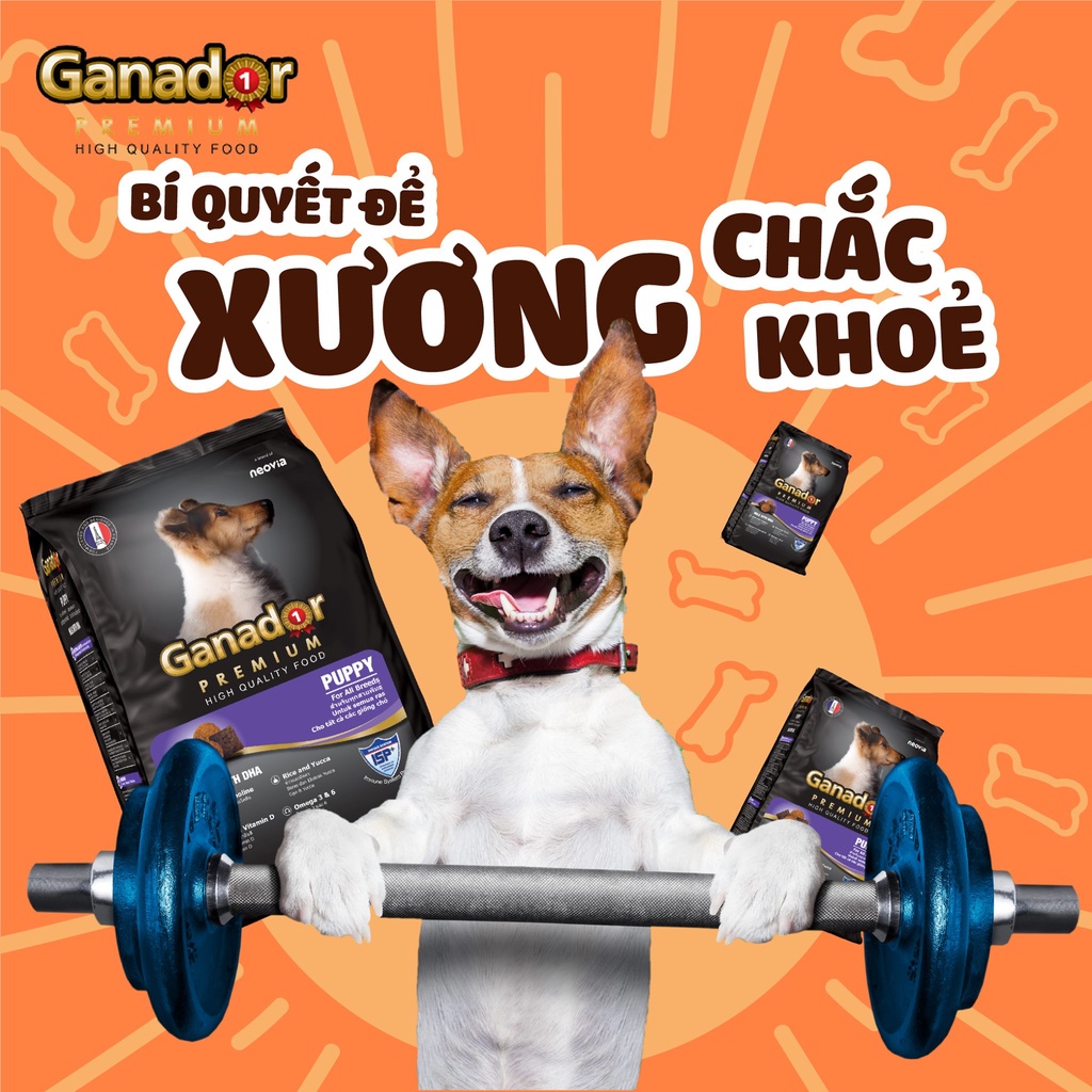 Thức ăn khô chó con , chó lớn Ganador 400g