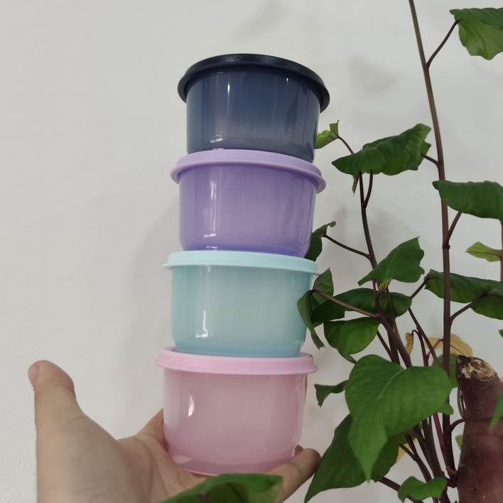 Hộp Bảo Quản Tupperware 💕Freeship Extra💕 Trữ đông / mát size Mini