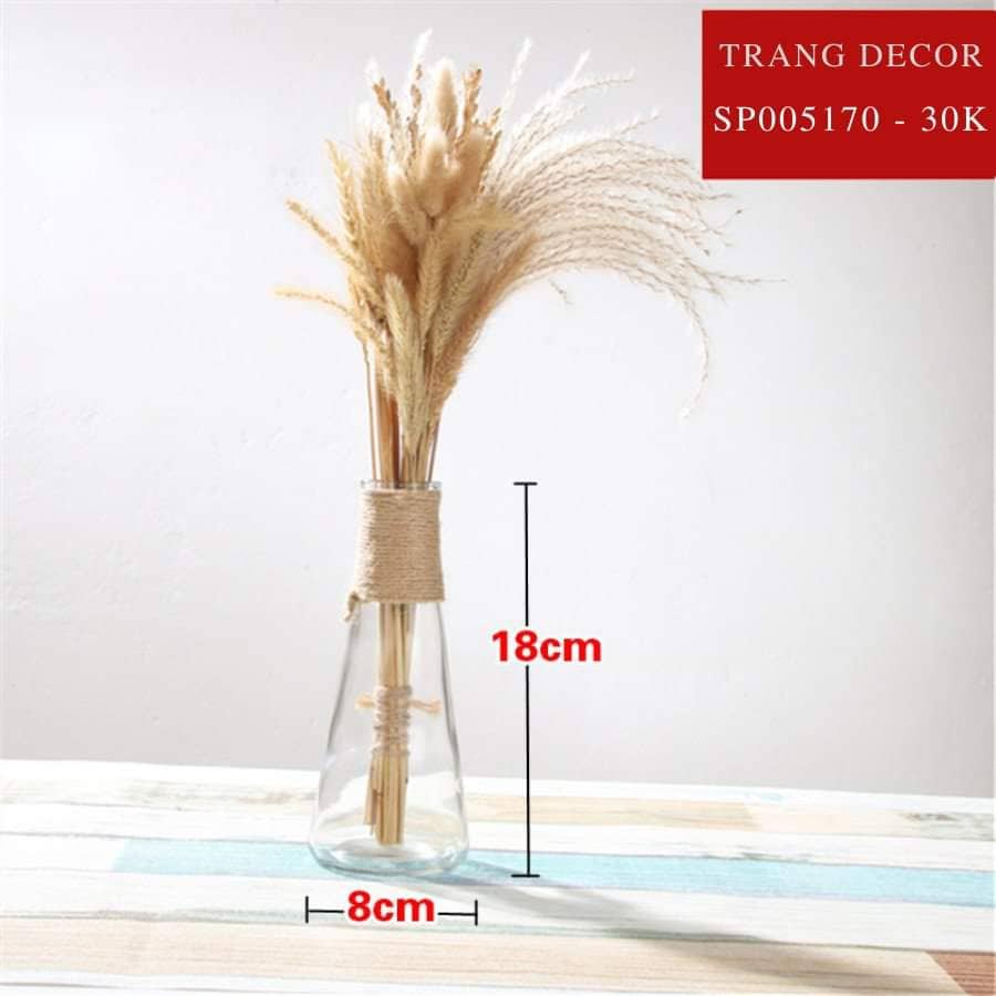 Bình thuỷ tinh cuận dây decor