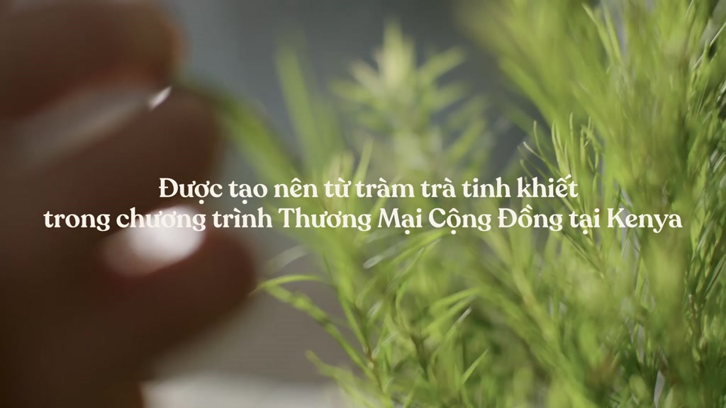 Tinh dầu tràm dành cho da mụn The Body Shop Tea Tree Oil (10ml hoặc 20ml/chai) | BigBuy360 - bigbuy360.vn