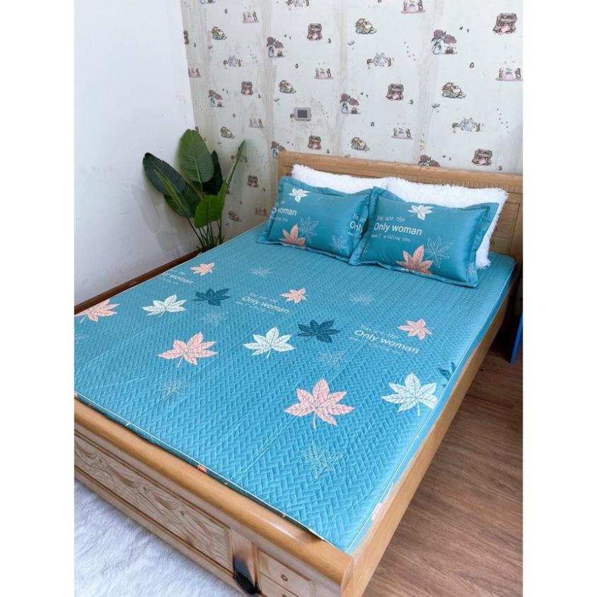 [FREE SHIP] Set Ga Cotton Chun Trần Bông Cao Cấp Kèm Hai Vỏ Gối, Ga Chun Trần 3 Lớp Hàng Loại 1