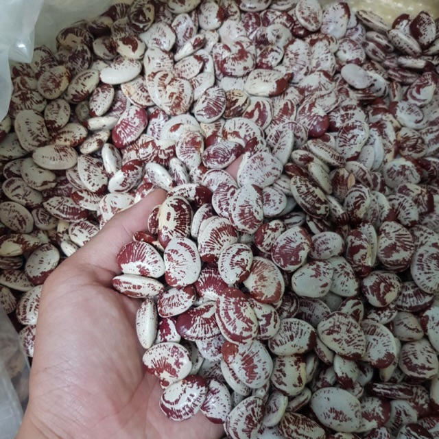Đậu ngự Đà Lạt 1kg