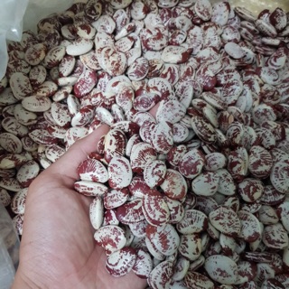 Đậu ngự Đà Lạt 1kg