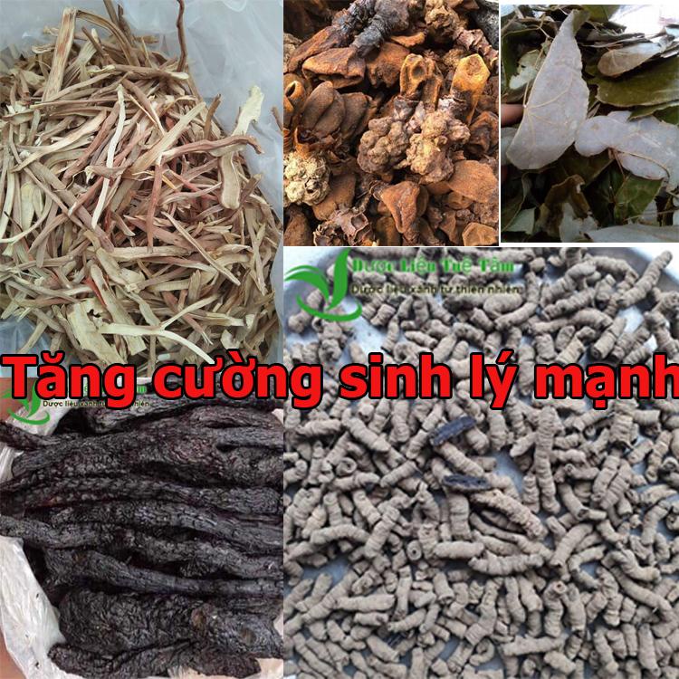 COMBO Sâm cau + nấm ngọc cẩu + dâm dương hoắc + ba kích tím + Nhục thung dung