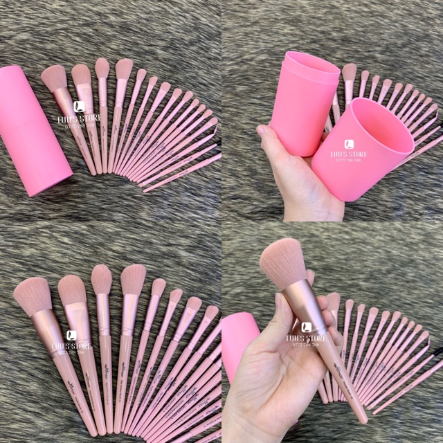 Bộ Cọ Cá Nhân RanMor Ống Hồng 16 cây