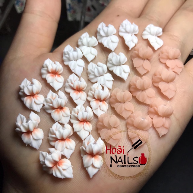 Hoa bột cúc dài (1b) - Phụ kiện Nail