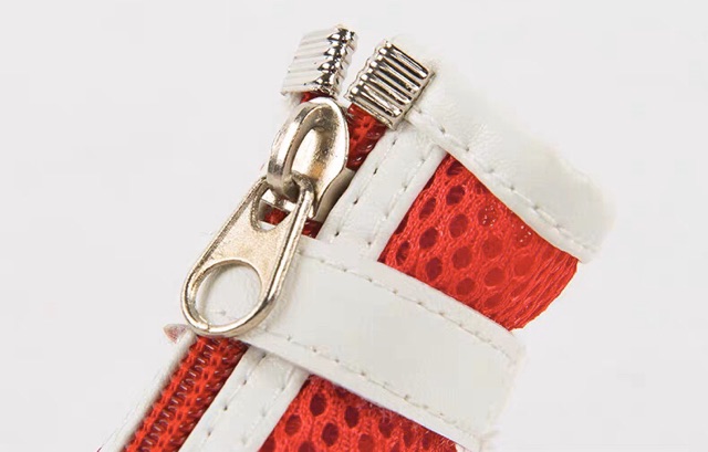 GIÀY CHO THÚ CƯNG - CHÓ MÈO dễ mang