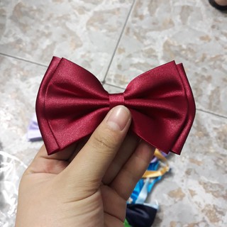 Nơ Mèo cho chú rể