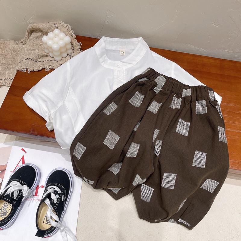 [Babycat Hàng Có Sẵn Quần Đùi Cotton Dáng Rộng Phong Cách Nhật Hàn Thời Trang Mùa Hè Hàn Quốc 2022 Dành Cho Bé Trai
