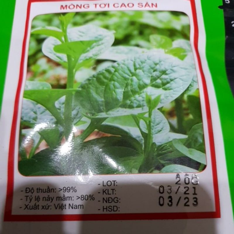Hạt giống rau Mồng tơi cao sản (20g)