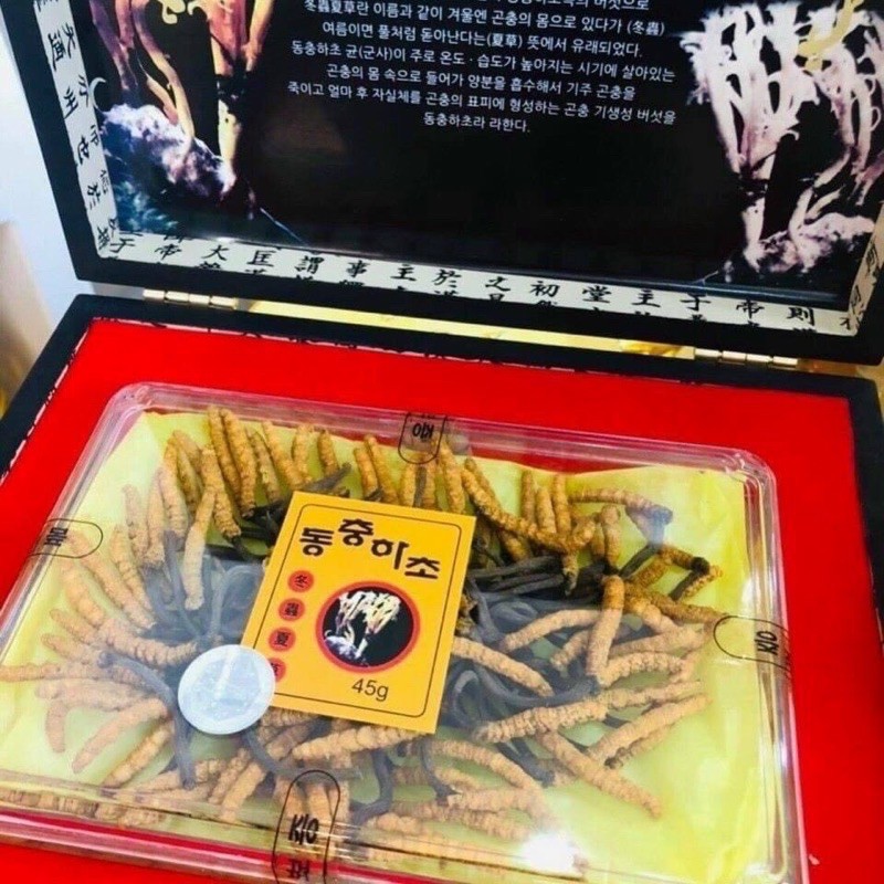 ĐÔNG TRÙNGL 45g HÀN QUỐC | BigBuy360 - bigbuy360.vn