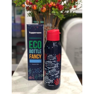 Bình Nước Eco Bottle Fancy 750ml